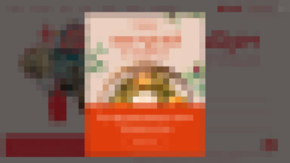 Замыленный снимок главной страницы проверенного сайта